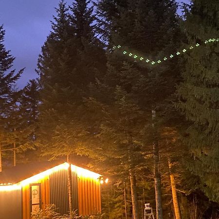 Феєрія Лісу Aparthotel Skhidnytsia Exteriör bild