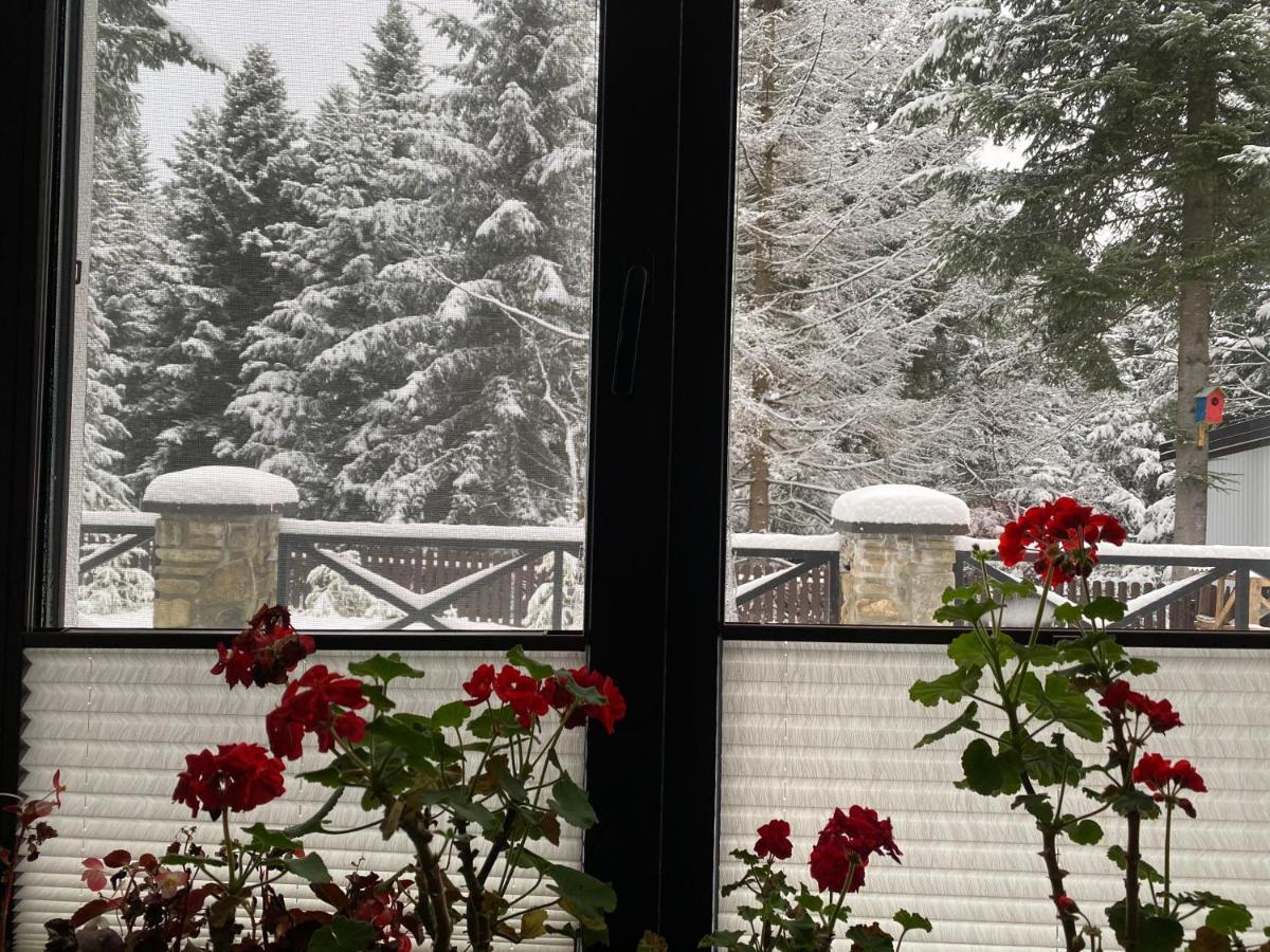 Феєрія Лісу Aparthotel Skhidnytsia Exteriör bild