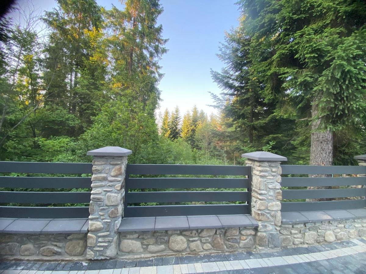 Феєрія Лісу Aparthotel Skhidnytsia Exteriör bild