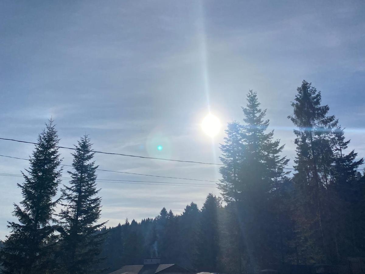 Феєрія Лісу Aparthotel Skhidnytsia Exteriör bild