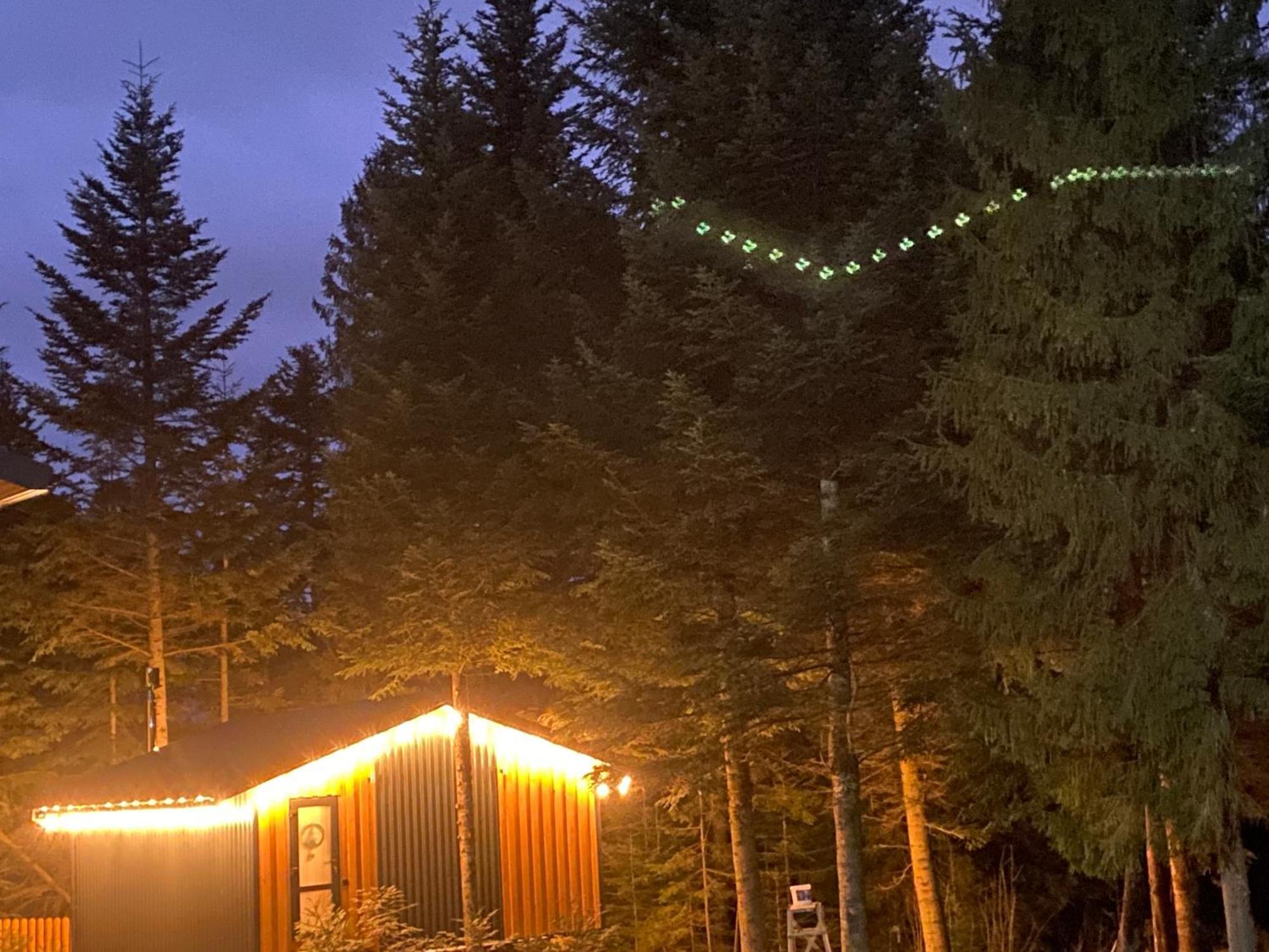 Феєрія Лісу Aparthotel Skhidnytsia Exteriör bild