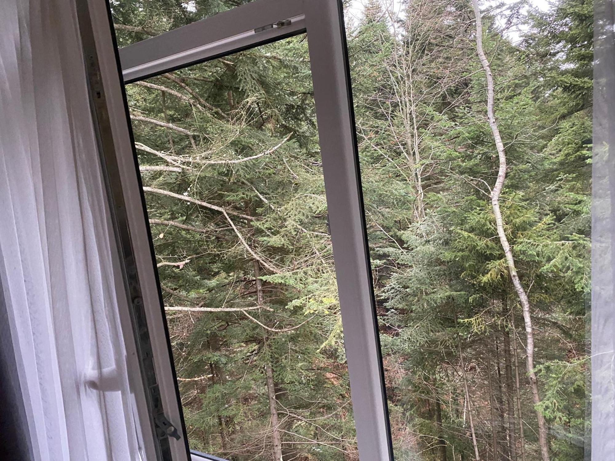 Феєрія Лісу Aparthotel Skhidnytsia Exteriör bild
