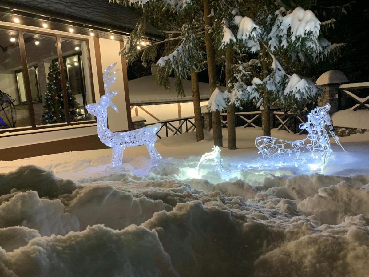 Феєрія Лісу Aparthotel Skhidnytsia Exteriör bild